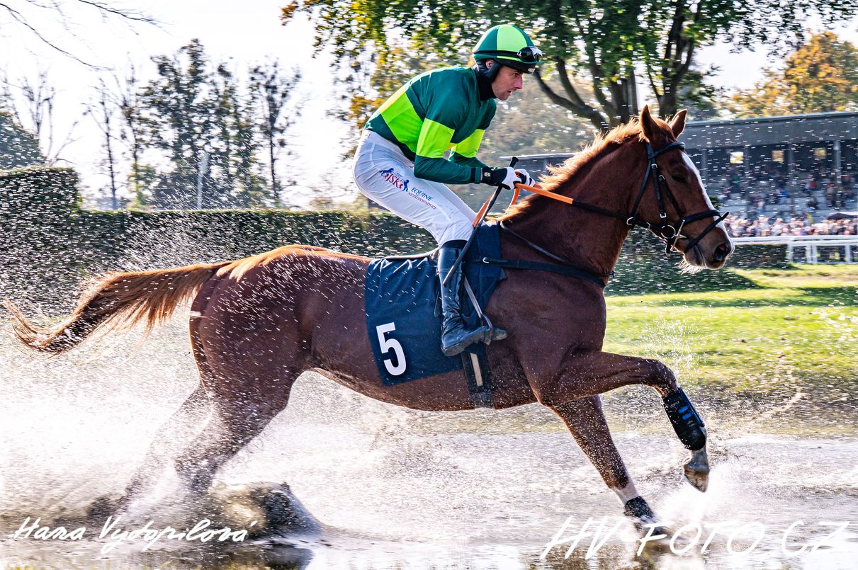 DSC_2265 kopie.jpg